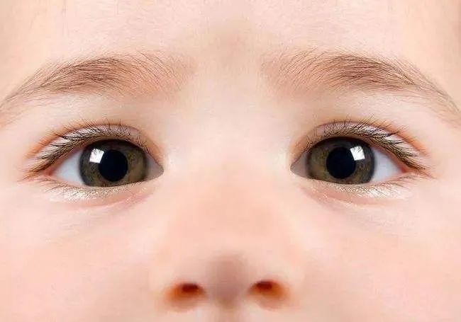瞳孔反应可以帮助筛查儿童孤独症？