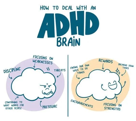 ADHD/高敏感经验分享：看清“恐惧”，夺回大脑控制权
