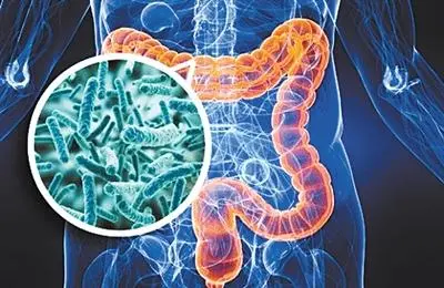 益生菌减少某些抗生素引起的人体肠道微生物群的变化