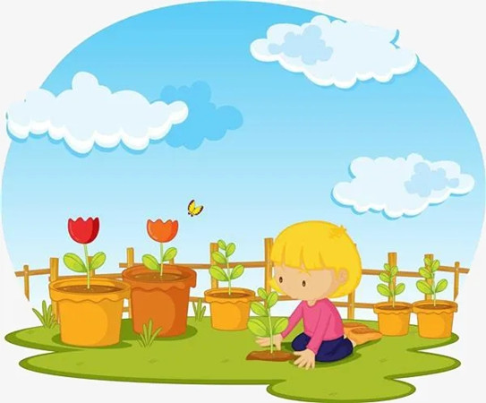 园艺疗法在自闭症儿童心理干预中的作用